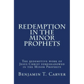 Redemption in the Minor Prophets: The redemptive work of Jesus Christ foreshadowed in the Minor Prophets