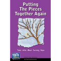 Putting the Pieces Together Again: Teens Write about Surviving Rape