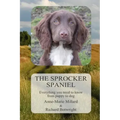 The Sprocker Spaniel: Everything you need to know from puppy to dog