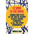 At Work in the Ruins: Finding Our Place in the Time of Climate Crises and Other Emergencies