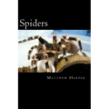 Spiders: A Fascinating Book Containing Spider Facts, Trivia, Images & Memory Recall Quiz: Suitable for Adults & Children