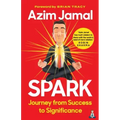 Spark: Journey from Success to Significance