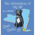 The Adventures of Big Sil New York, NY: Children's Book