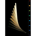Takenobu Igarashi: Design & Fine Art