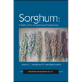 Sorghum: State of the Art and Future Perspectives