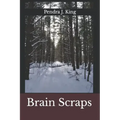 Brain Scraps