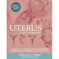 Uterus: A new perspective