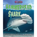 Hammerhead Shark
