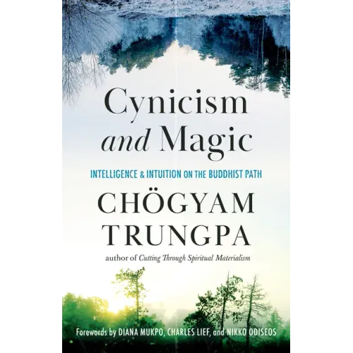 Cynicism and Magic: Intelligence and Intuition on the Buddhist Path