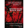 Revenge of the "Illegal Alien": A Mexican Takes on the Empire