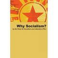 Why Socialism?