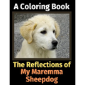 The Reflections of My Maremma Sheepdog: A Coloring Book