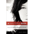 A Shattered Soul