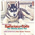 Bodacious Bode - The Siberian Husky Pup