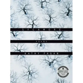 Sycamore: Poems