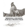 Breeding Chickens For Egg Production