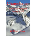 Chameleons: Neutral Switzerland during WWII