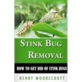 Stink Bug Removal: How to Get Rid of Stink Bugs