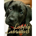 Lovely Labradors