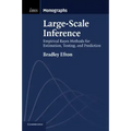 Large-Scale Inference: Empirical Bayes Methods for Estimation, Testing, and Prediction