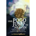 One Pogo Jump to Heaven: A Family Recounts God's Faithfulness through Teenage Depression and Sudden Loss