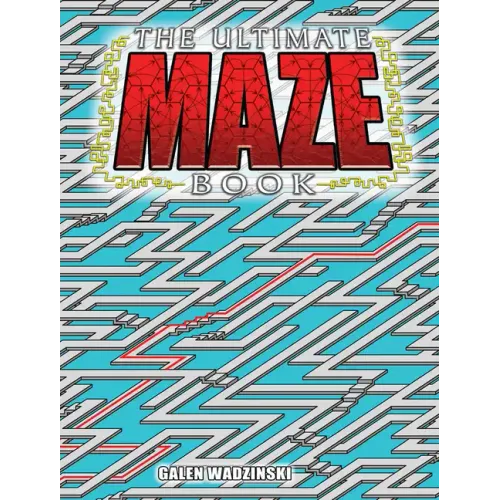 The Ultimate Maze Book