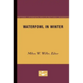 Waterfowl in Winter