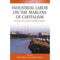 Industrial Labor on the Margins of Capitalism: Precarity, Class, and the Neoliberal Subject