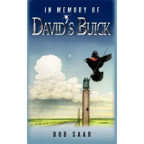 In Memory of David's Buick