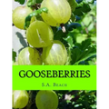 Gooseberries