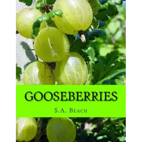 Gooseberries