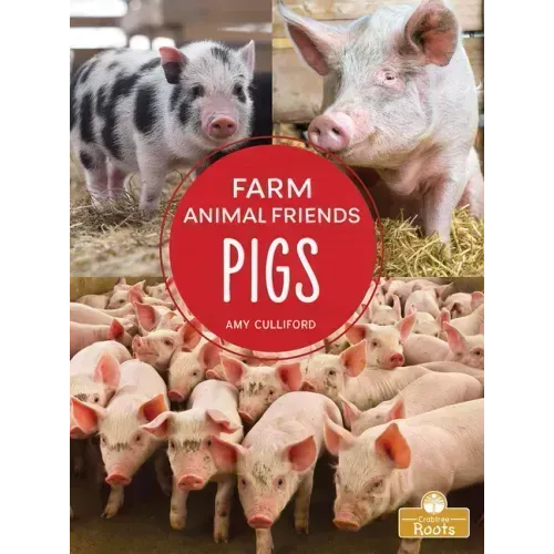 Pigs