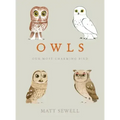 Owls: Our Most Charming Bird