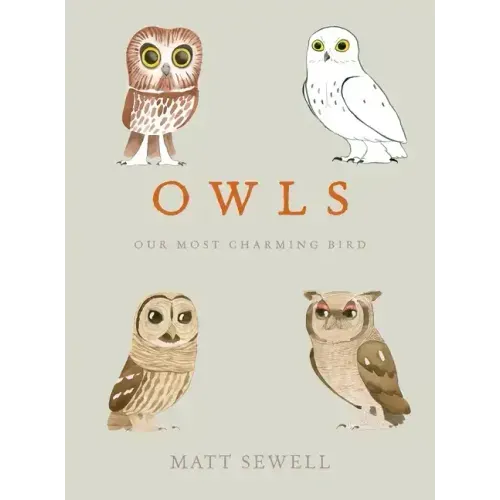 Owls: Our Most Charming Bird