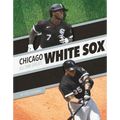 Chicago White Sox All-Time Greats
