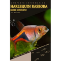 Harlequin Rasbora: From Novice to Expert. Comprehensive Aquarium Fish Guide