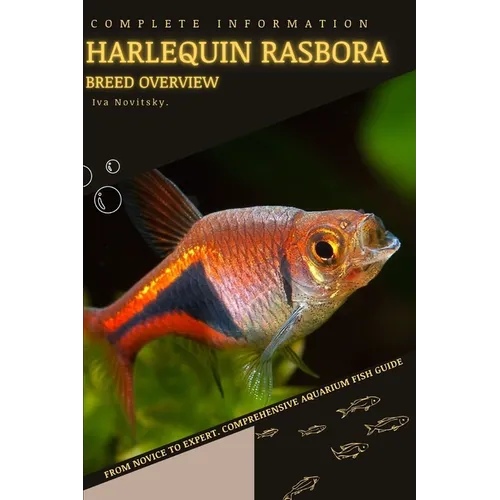 Harlequin Rasbora: From Novice to Expert. Comprehensive Aquarium Fish Guide