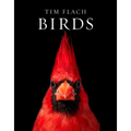 Birds: Photographs