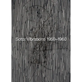 Soto: Vibrations 1950-1960