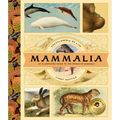 Mammalia: An Illustrated Guide to the World of Mammals