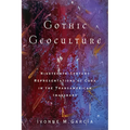 Gothic Geoculture: Nineteenth-Century Representations of Cuba in the Transamerican Imaginary