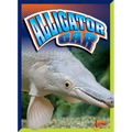 Alligator Gar
