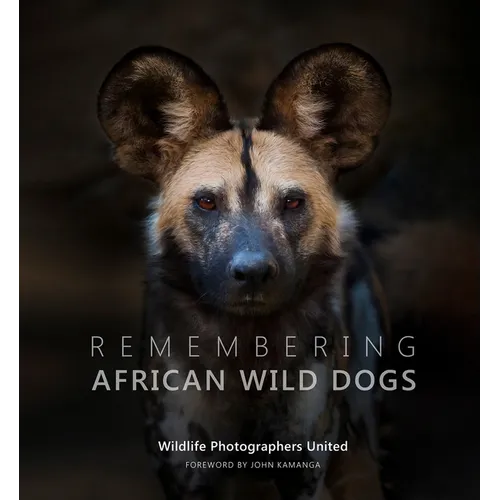 Remembering African Wild Dogs