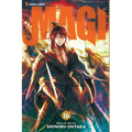Magi: The Labyrinth of Magic, Vol. 16