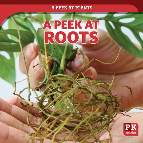 A Peek at Roots