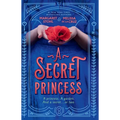 A Secret Princess
