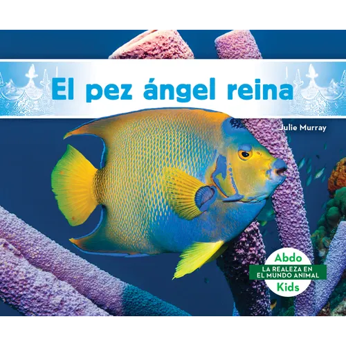 El Pez Ángel Reina (Queen Angelfish)