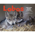 Lobos: A Wolf Family Returns to the Wild
