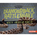 Diamondback Rattlesnake: North American Hunter