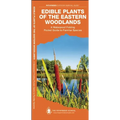 Edible Plants of the Eastern Woodlands: A Folding Guide to Familiar Species